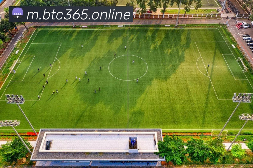 365bet官网APP 封面图
